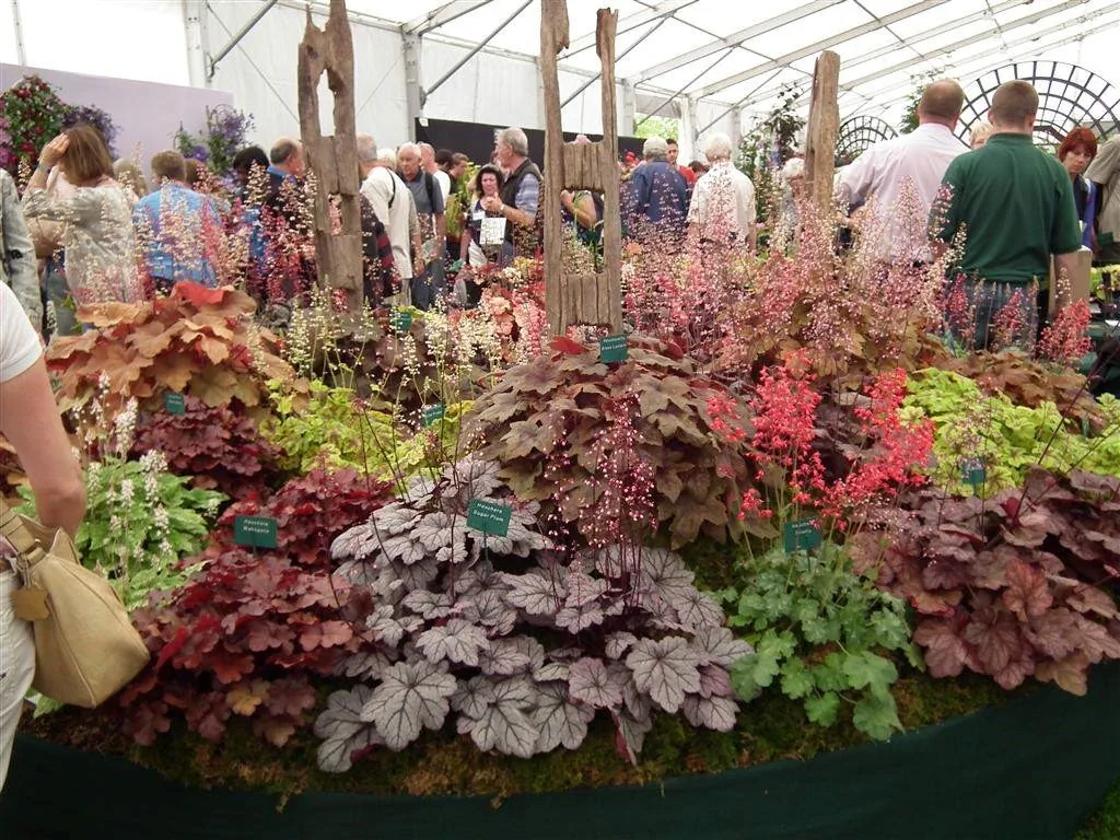 Floral marquee in the long water area 14